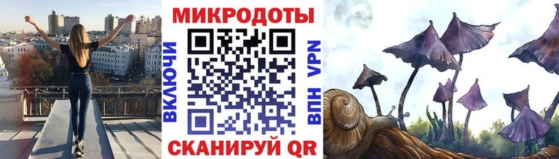 Псилоцибиновые грибы Psilocybe  где можно купить наркотик  Электрогорск 